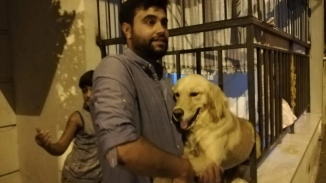 Demir parmaklıklara sıkışan köpek kurtarıldı