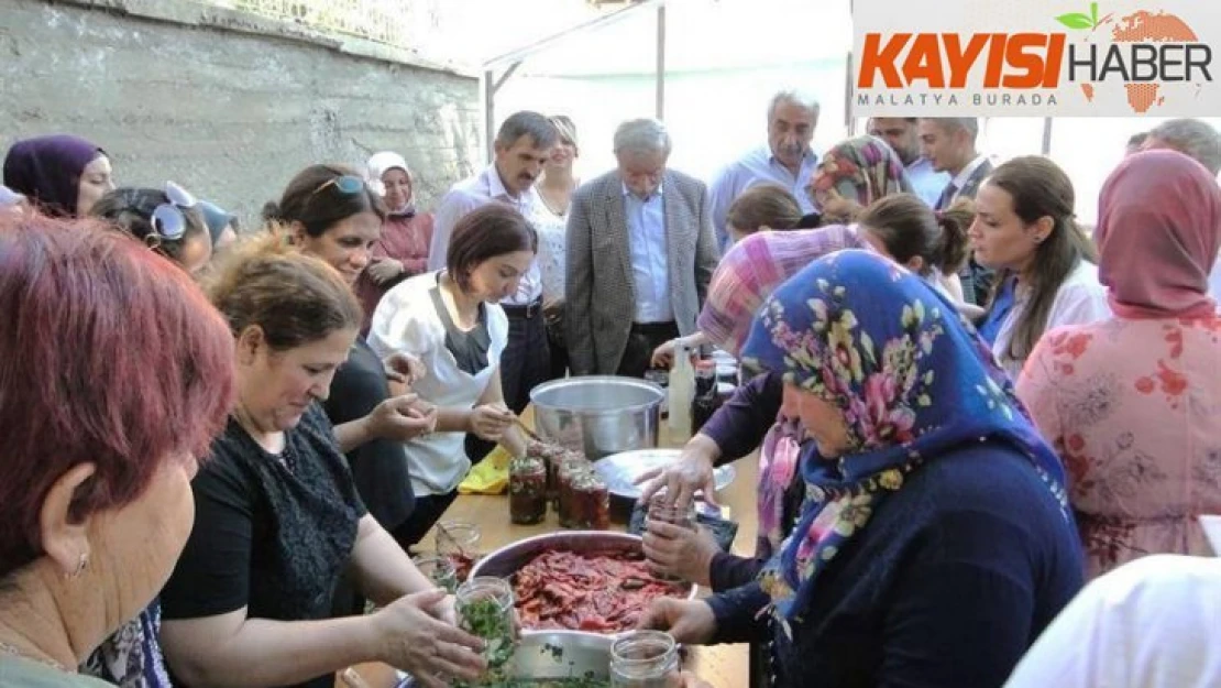 Doğanşehir'de kapya biber hasadı başladı