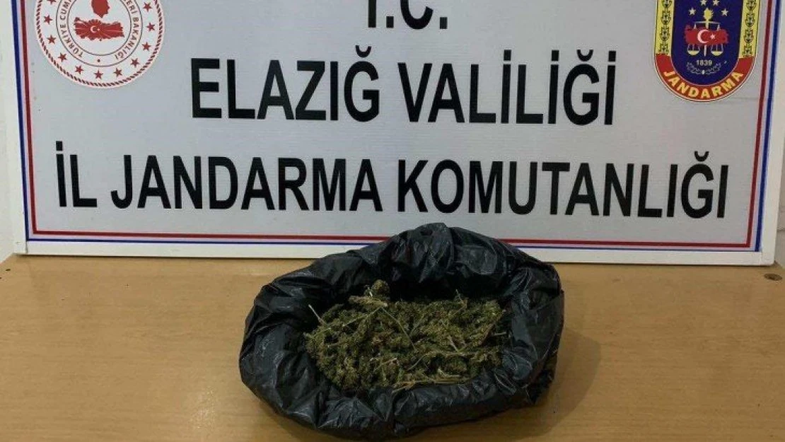 Elazığ'a uyuşturucu getiren şahıs yakalandı