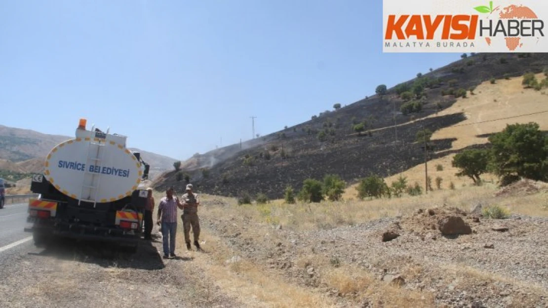 Elazığ'da  orman yangını