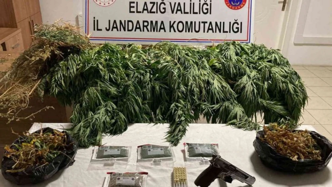 Elazığ'da 1 kilo esrar ve 17 kök kenevir ele geçirildi