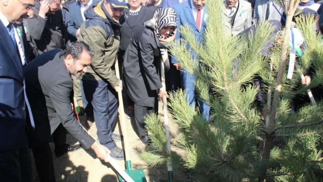 Elazığ'da 250 bin fidan toprakla buluştu