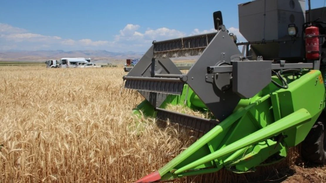 Elazığ'da deneme amaçlı ekilen arpa ve buğdayın hasadı yapıldı