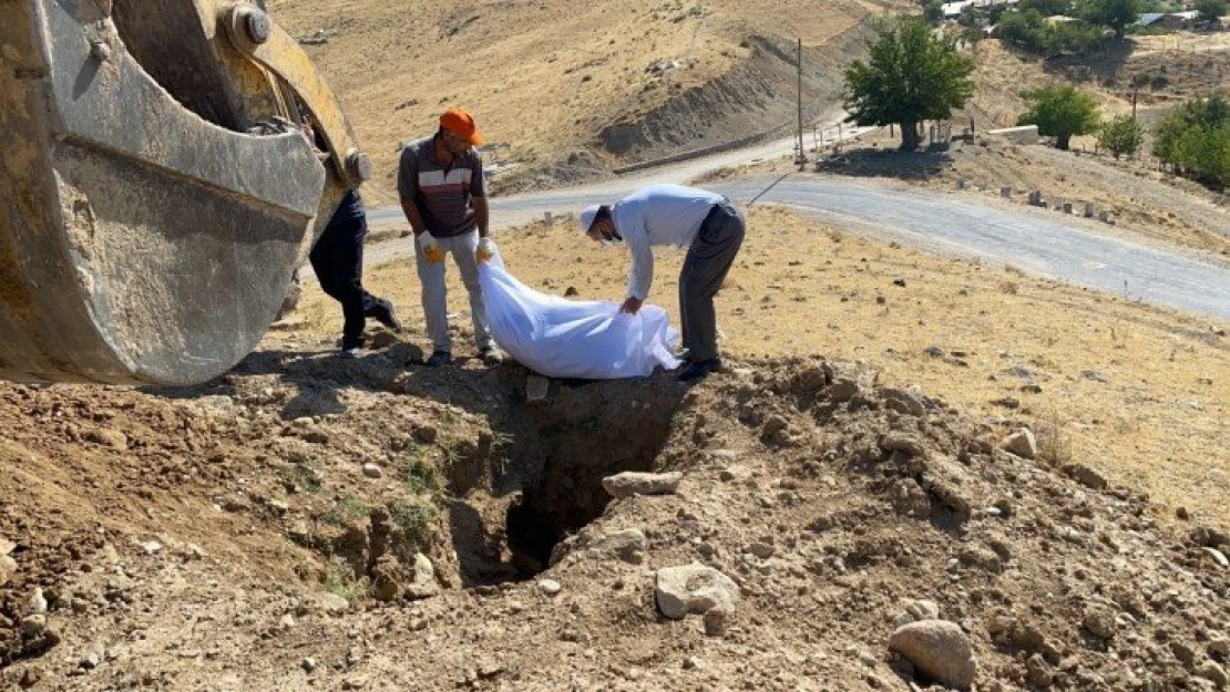 Elazığ'da etrafa saçılan kemikler toplanıp kefenlendikten sonra yeniden defnedildi