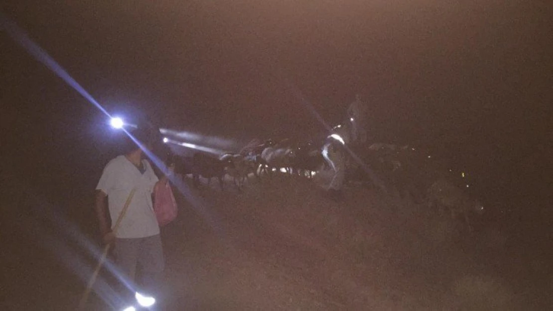 Elazığ'da jandarma kayıp hayvanları gece görüş termalleriyle buldu