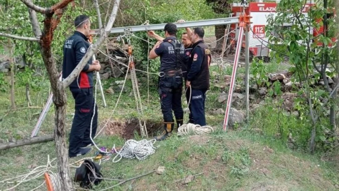 Elazığ'da kuyuya düşen inek kurtarıldı