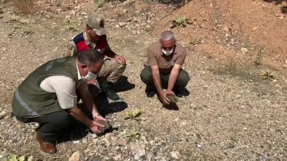 Elazığ'da usulsüz avlanan 1 şahıs yakalandı