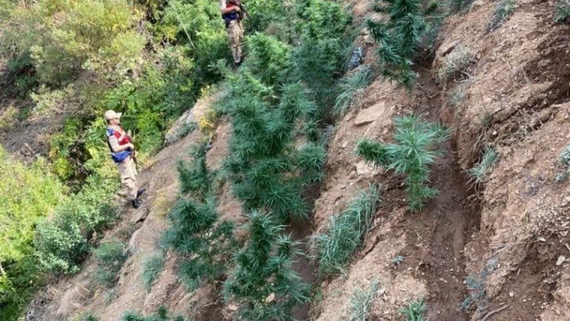 Elazığ'da uyuşturucu operasyonu