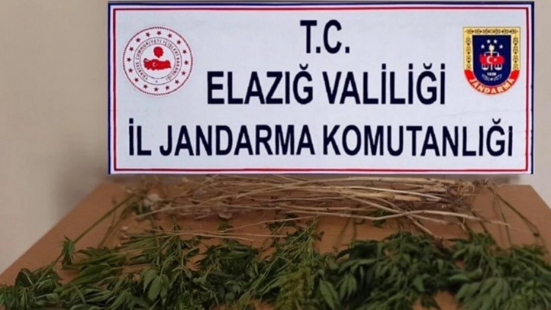 Elazığ'da uyuşturucuyla mücadele çalışması