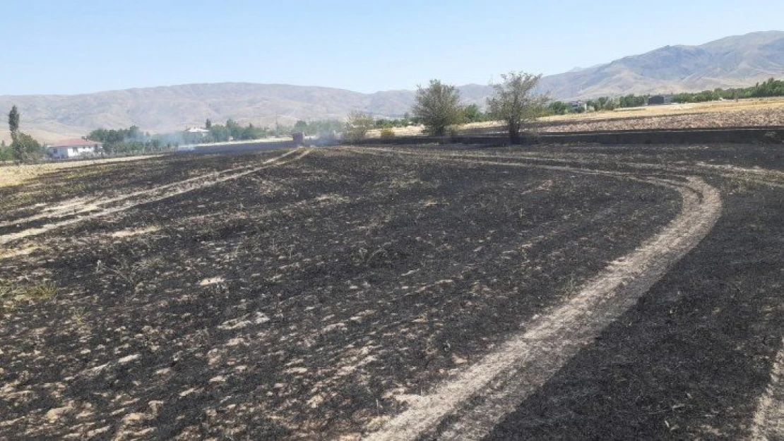 Elazığ'da yangın,arpa ekili arazi kül oldu