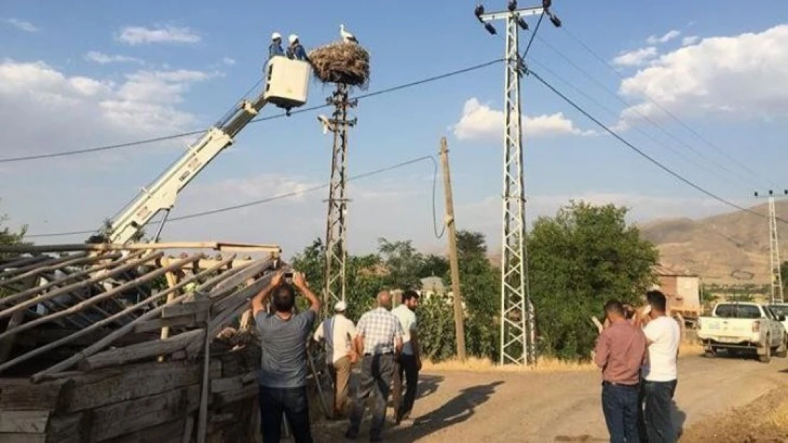 Elazığ'da yavru leylekler kurtarıldı