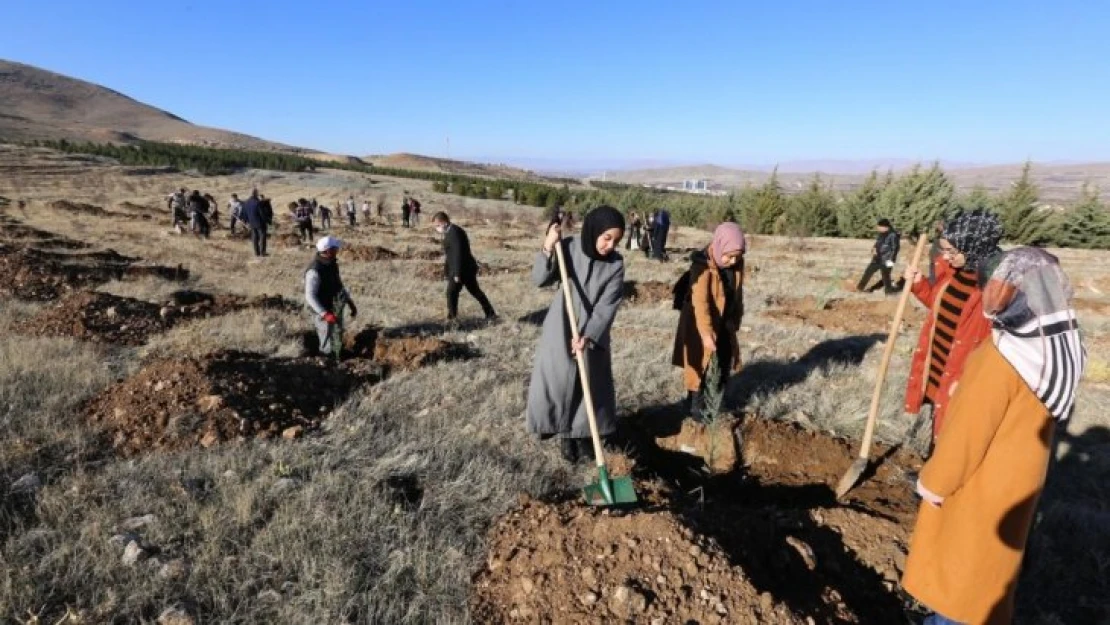 Öğrenciler fidan dikti