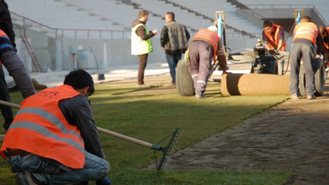 Arena Stadı'nda çimler serilmeye başlandı