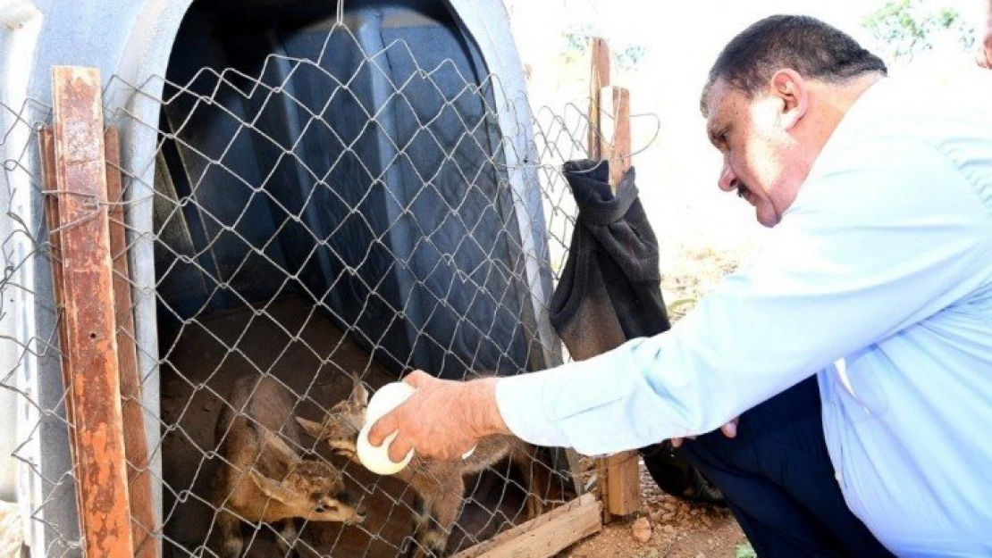 Gürkan'dan yaban hayatı gözlem merkezine ziyaret