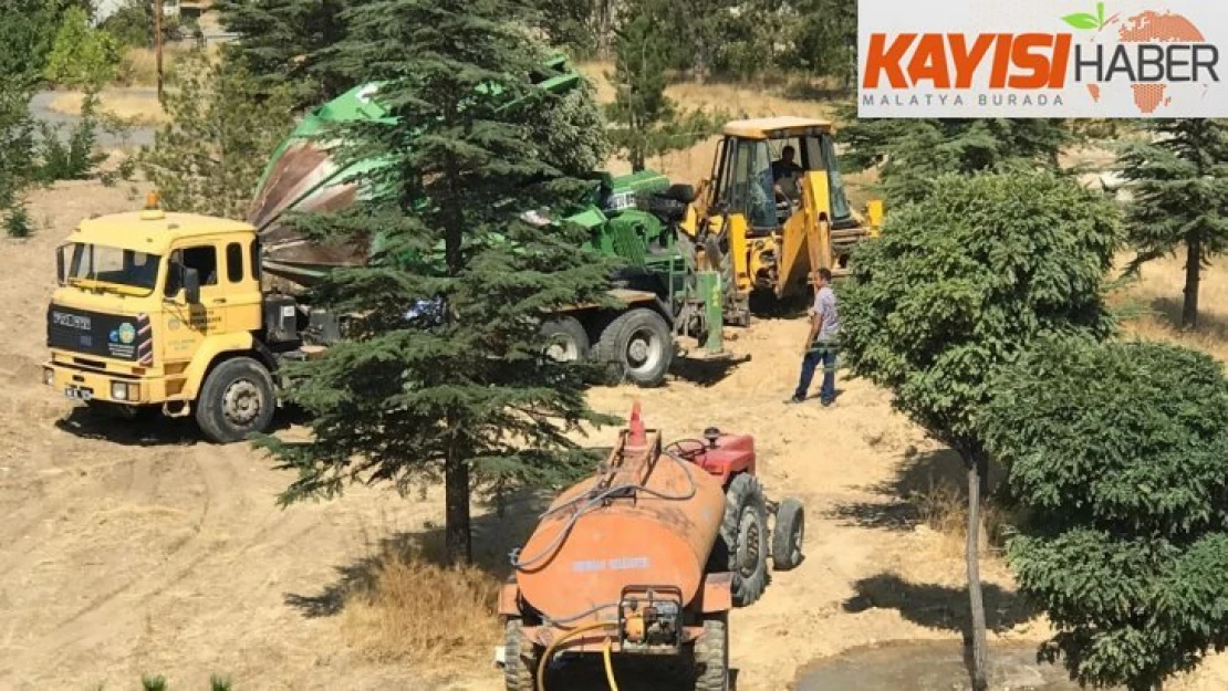 Hekimhan Belediyesi yol çalışma alanındaki ağaçları taşıyor