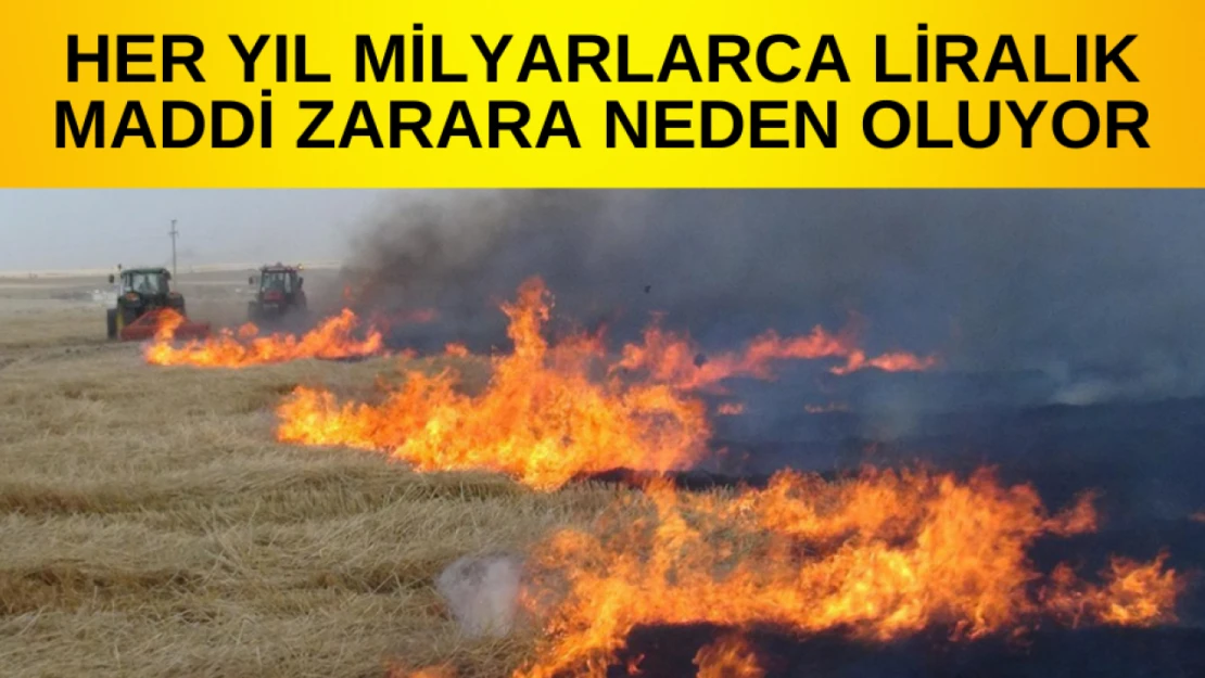 Her yıl milyarlarca liralık maddi zarara neden oluyor