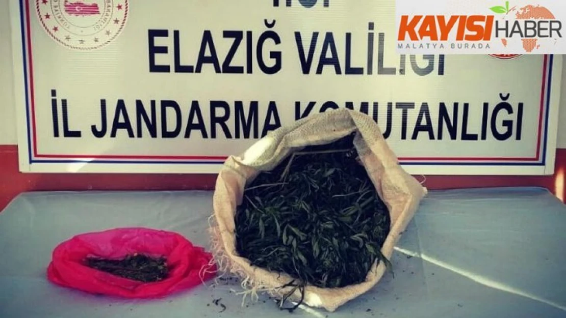 Jandarma ekipleri, uyuşturucu tacirini 2 kilo esrarla  yakaladı