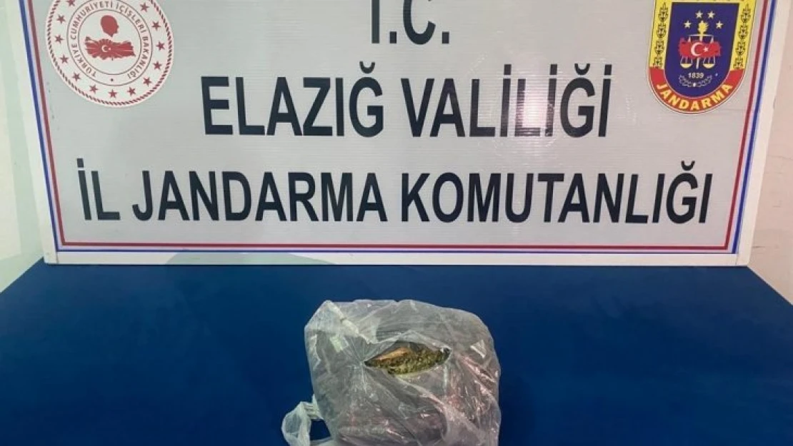 Jandarma uyuşturucu tacirlerine geçit vermiyor: 2 tutuklama