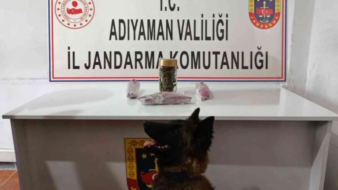 Jandarma uyuşturucuya geçit vermiyor