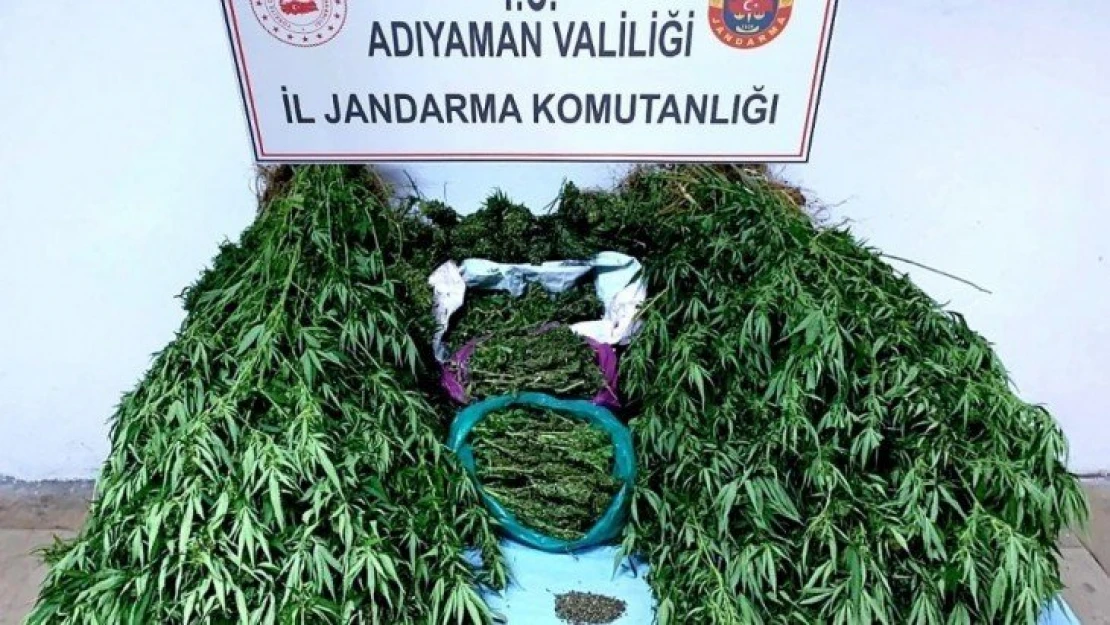 Jandarmadan uyuşturucu operasyonu