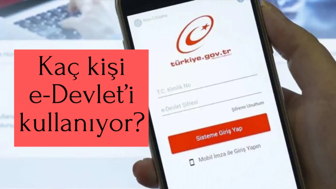 Kaç kişi e-Devlet'i kullanıyor?