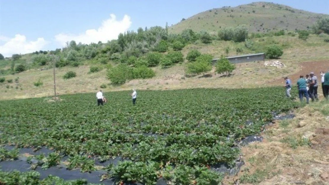 Çiftçilere önemli uyarı