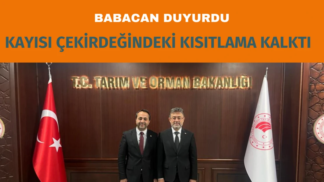 Kayısı çekirdeğindeki kısıtlama kalktı