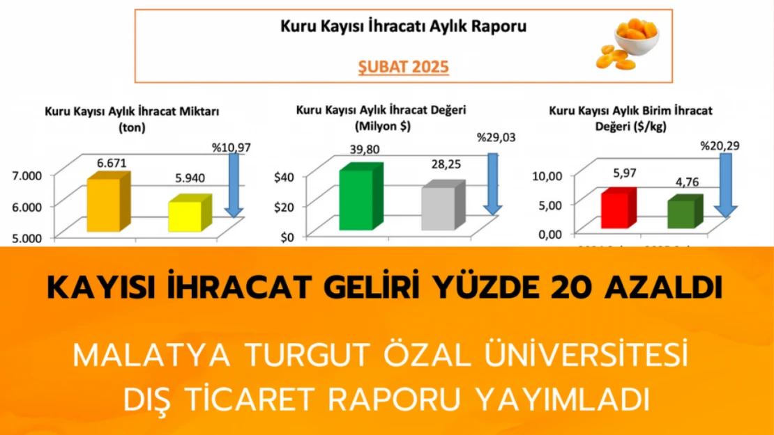 Kayısı ihracat geliri yüzde 20 azaldı