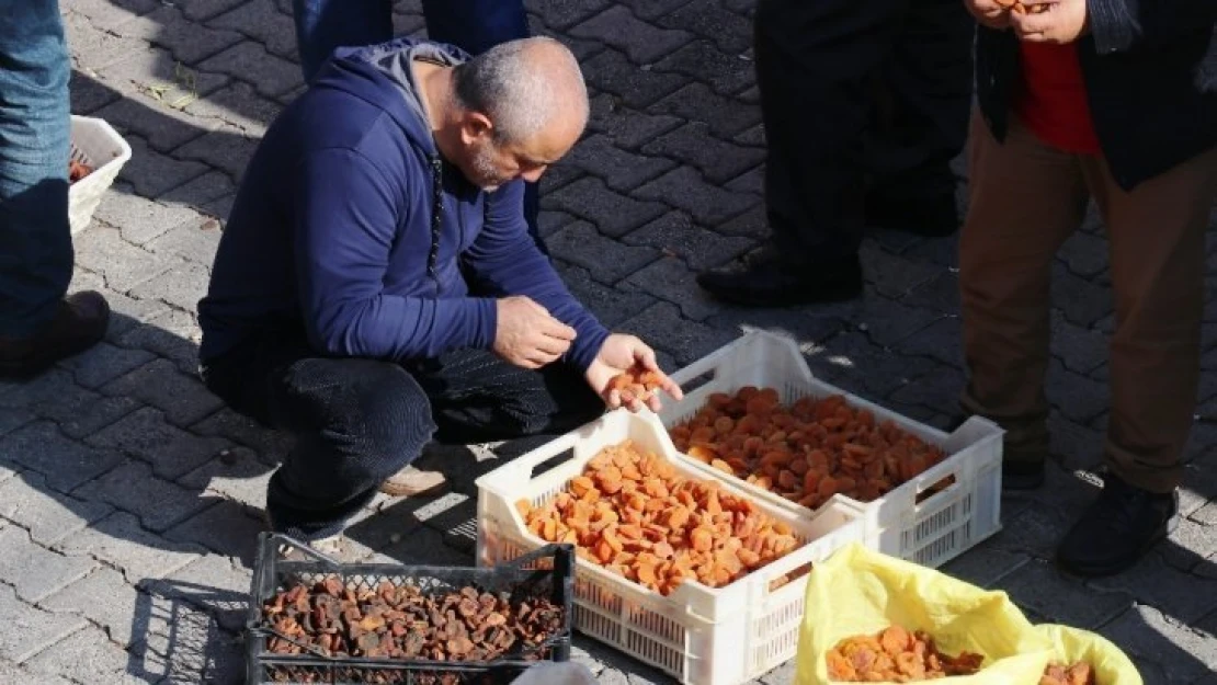 Kayısı ihracatında gelir düştü