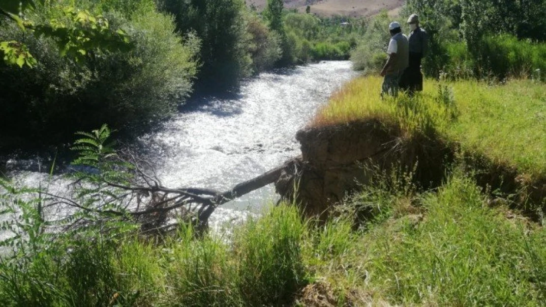 Kayısı üreticilerinin 31 yıllık sel ve taşkın korkusu