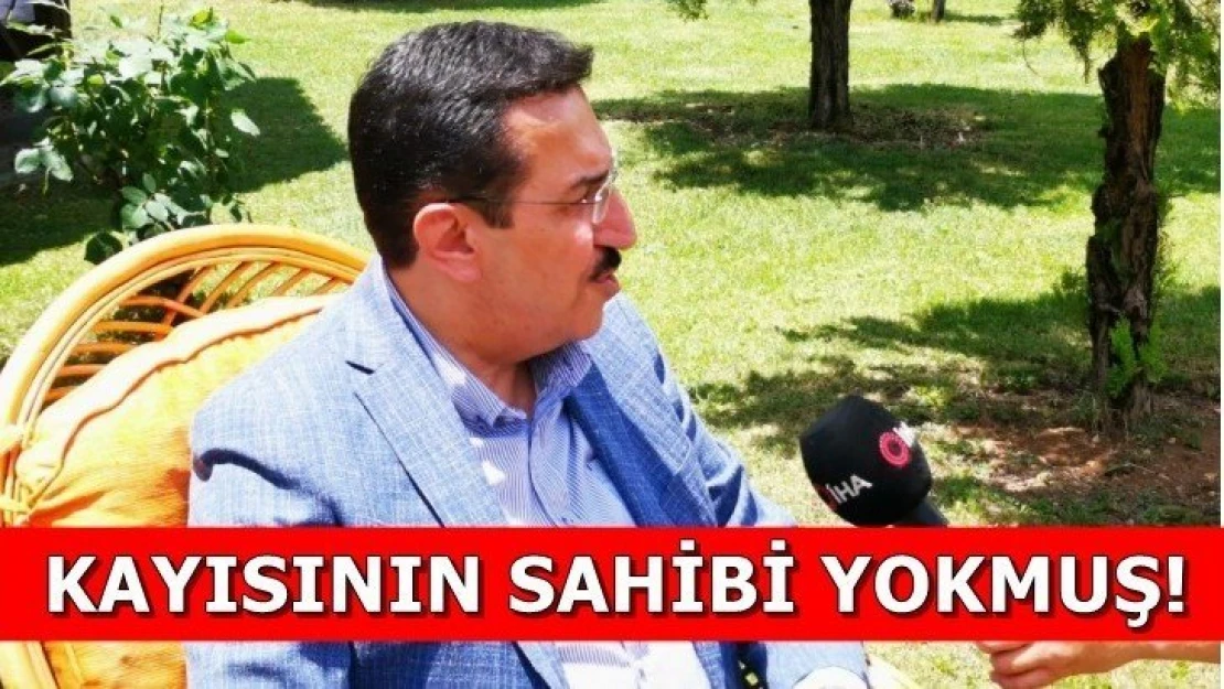 Kayısının sahibi yokmuş!