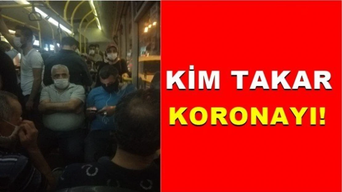 Kim takar koronayı!