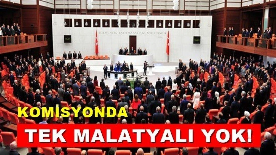 Komisyonda tek Malatyalı yok!