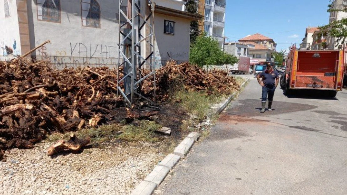 Kopan elektrik teli yangına neden oldu