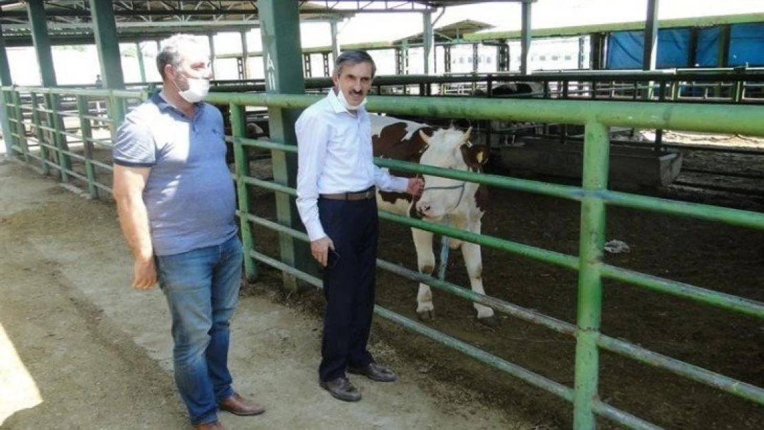 Kurban Bayramı öncesinde hayvan pazarı denetlendi