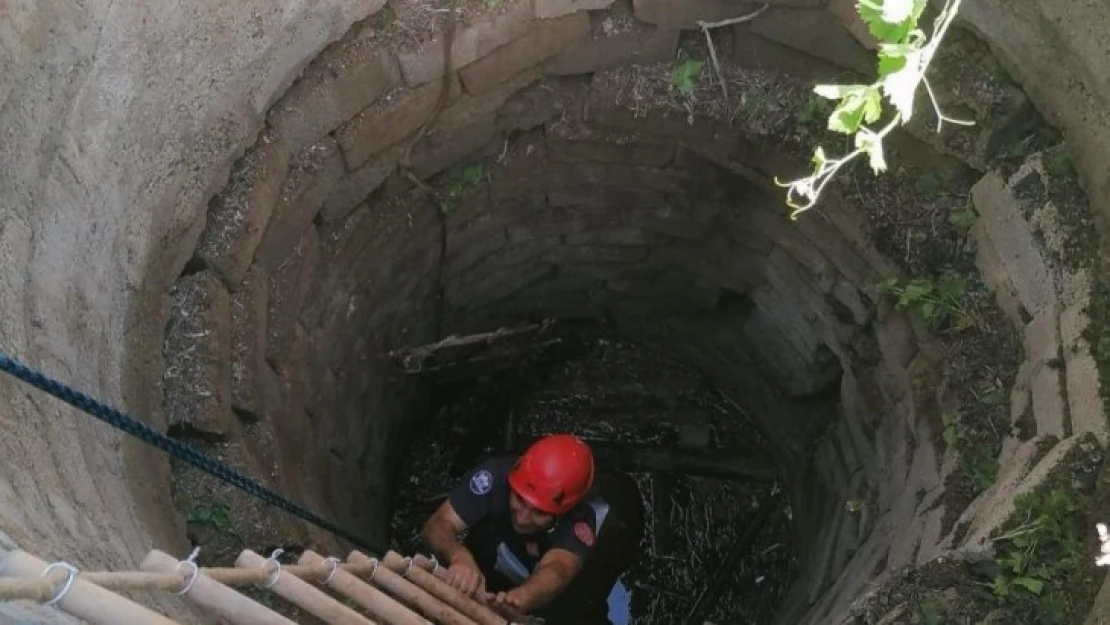 Kuyuya düşen inek, itfaiye ekipleri tarafından kurtarıldı