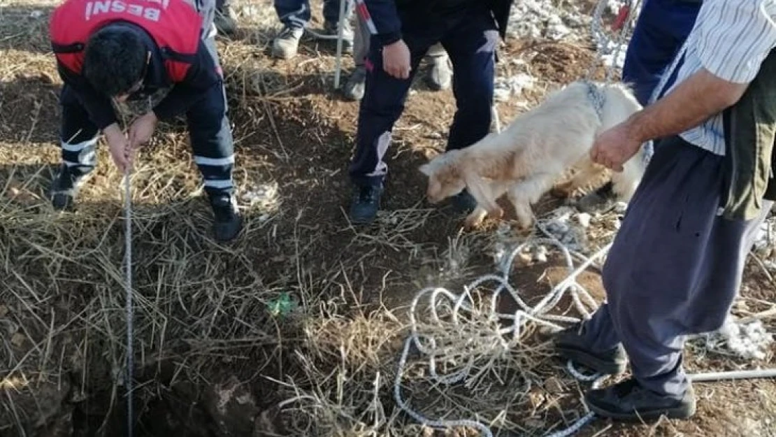 Kuyuya düşen oğlak kurtarıldı