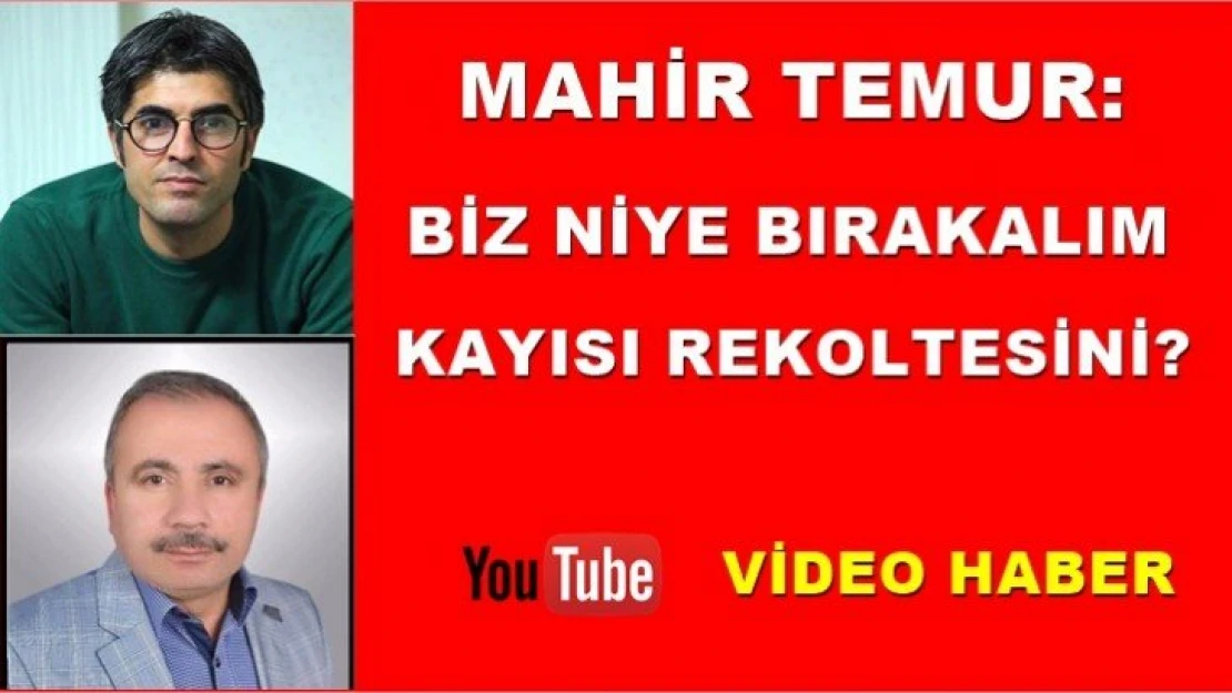 Mahir Temur: Biz niye bırakalım kayısı rekoltesini?