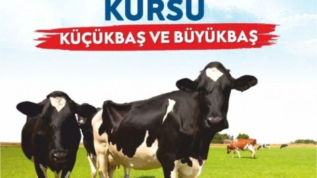 Malatya Büyükşehir'den kurban kesim kursu