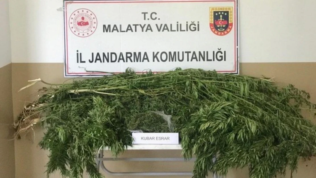 Malatya'da 1 kilo esrar ele geçirildi