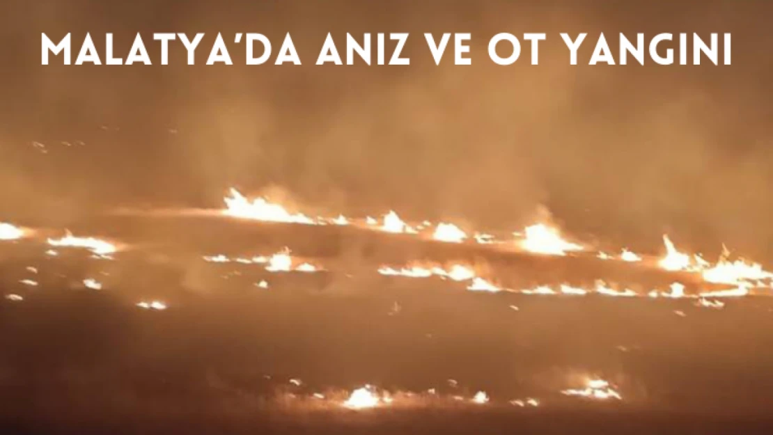 Malatya'da anız ve ot yangını