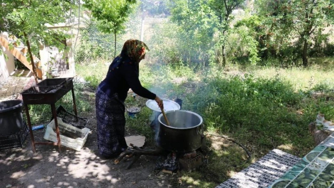 Malatya'da dut pekmezi mesaisi başladı