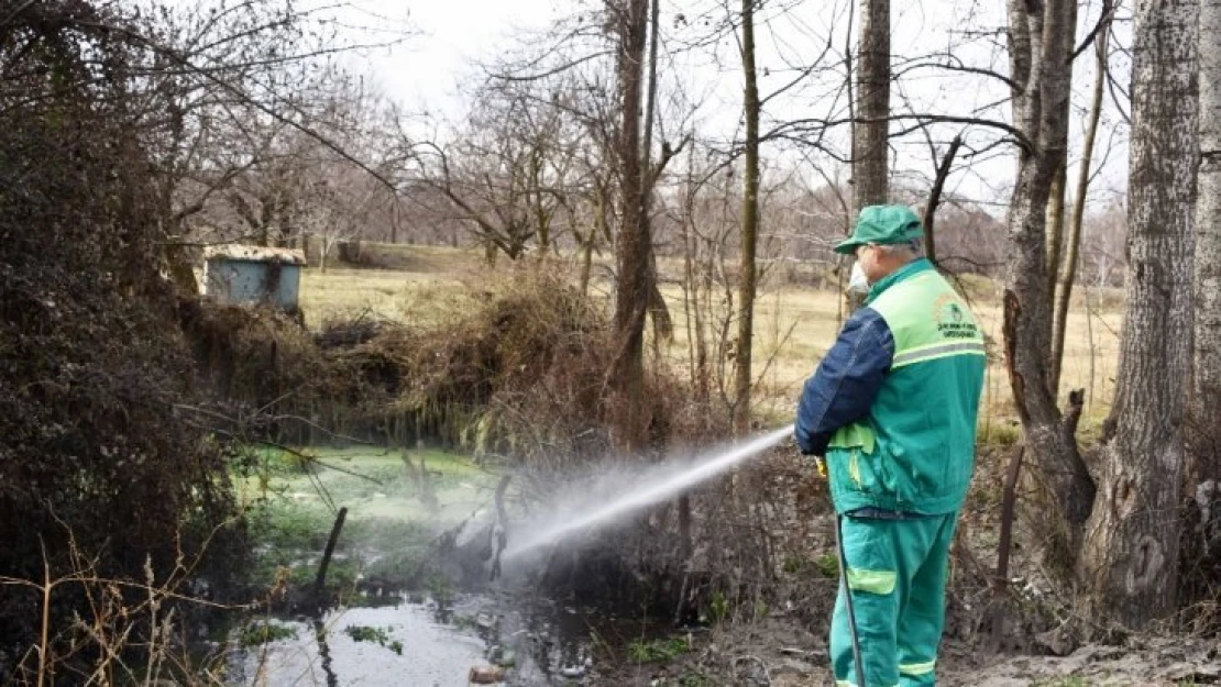 Malatya'da haşerelere karşı mücadele başladı