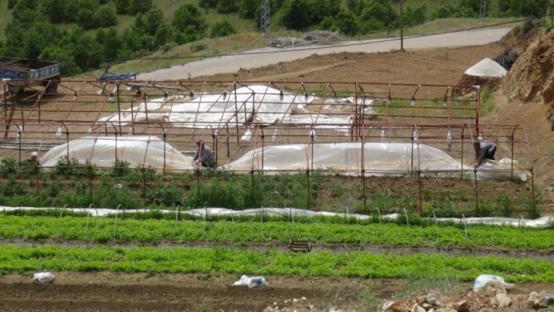 Malatya'da hortum bahçe ve seralara zarar verdi