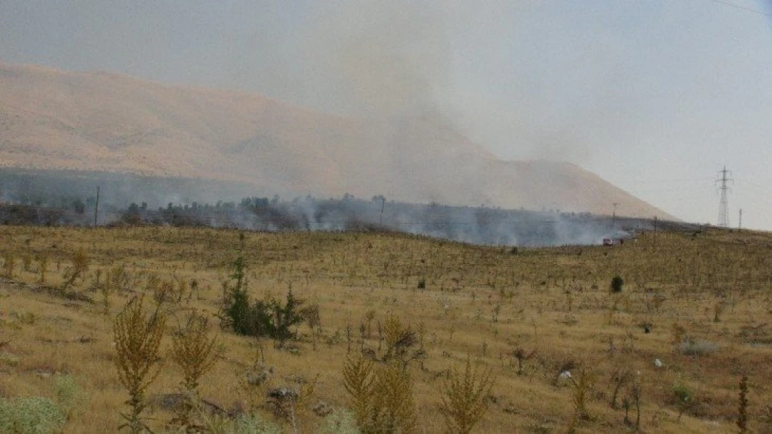 Malatya'da orman yangını