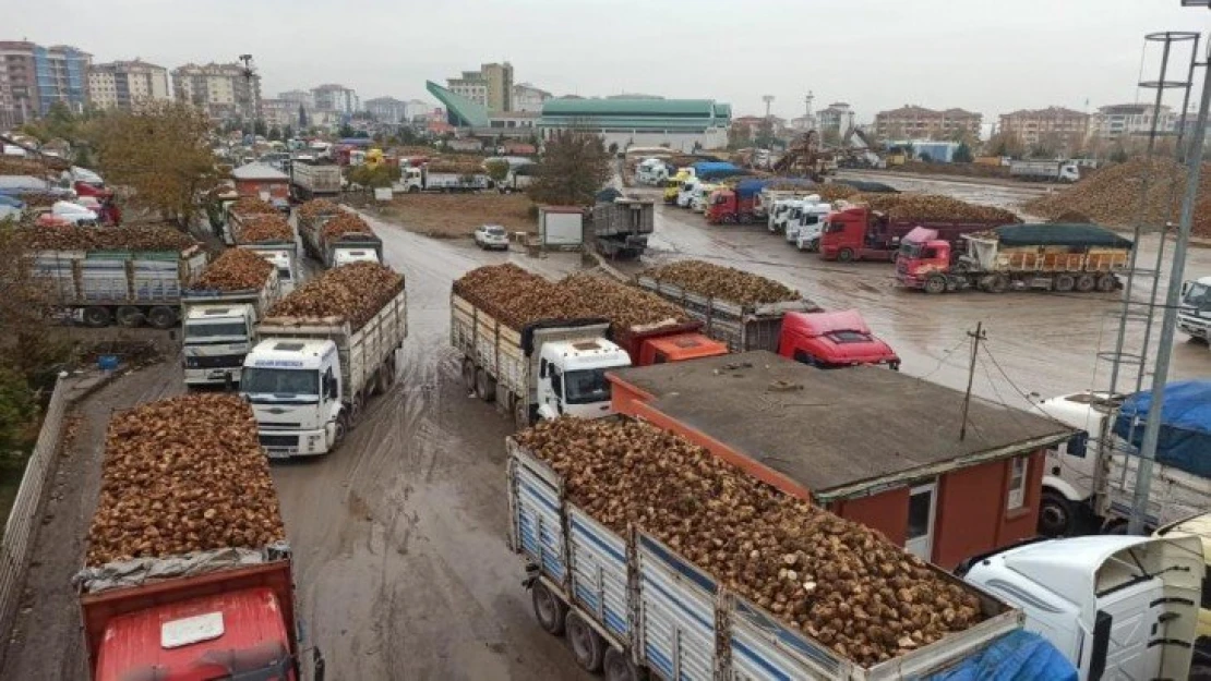 Malatya'da şeker üretiminin son günleri