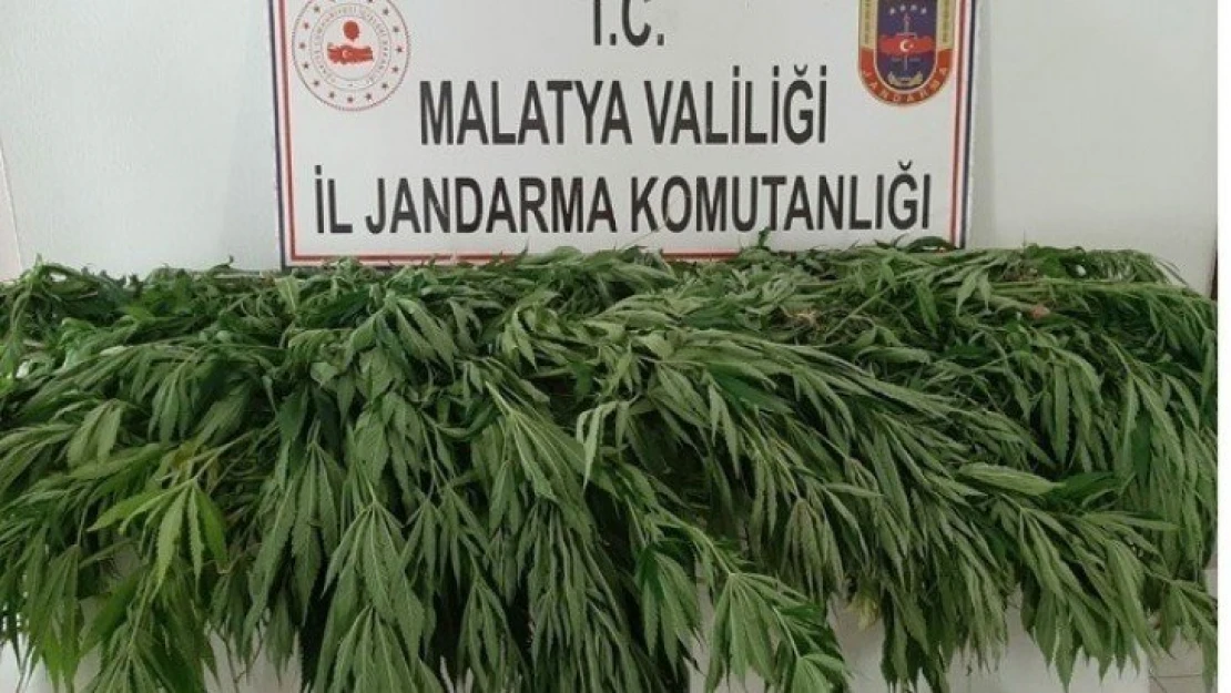 Malatya'da uyuşturucuya darbe