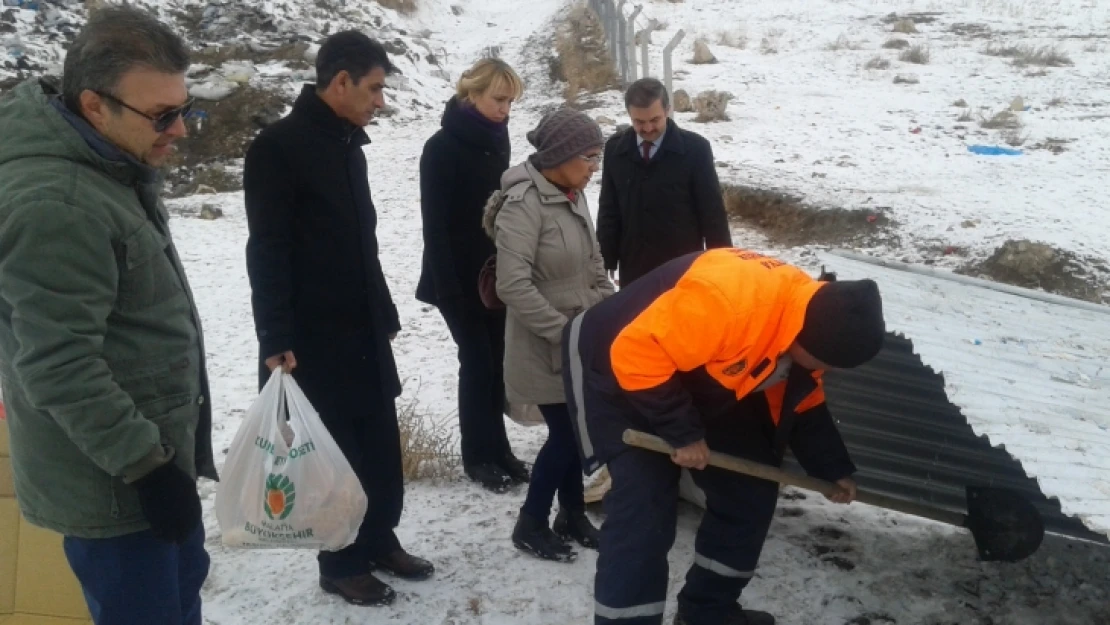 Büyükşehirden sokak hayvanları için barınak