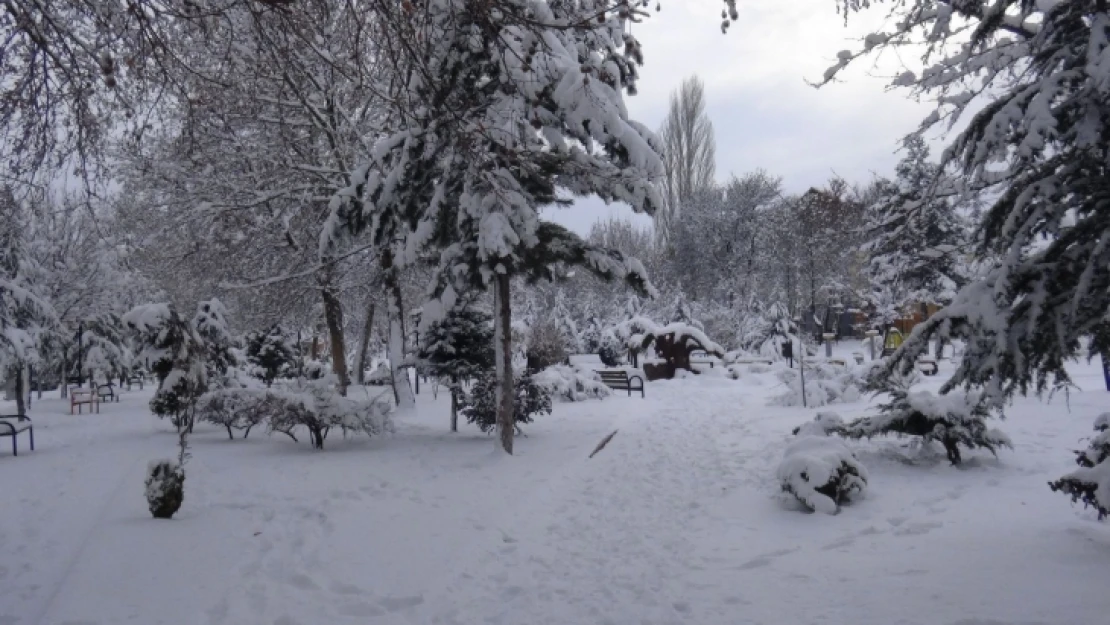 Meteoroloji, kuvvetli buzlanma ve dona karşı uyardı