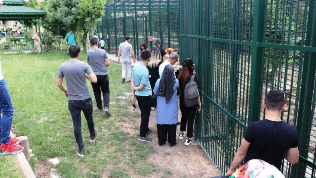 Malatya Hayvanat Bahçesi'nde bayram yoğunluğu